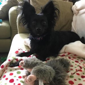 Meet your Posher, Gail